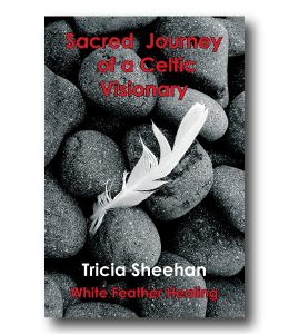 Sacred Journey of a Celtic Visionary Cover